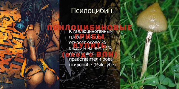 круглые Аркадак
