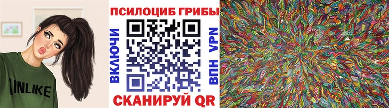 купить закладку  Салаир  Галлюциногенные грибы мицелий 